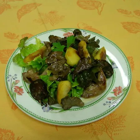 De La Bouriane Gourdon-en-quercy